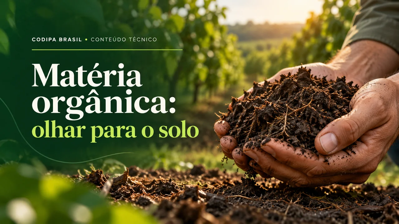 Composição ilustrativa de mãos segurando solo com raízes e chamada sobre matéria orgânica.