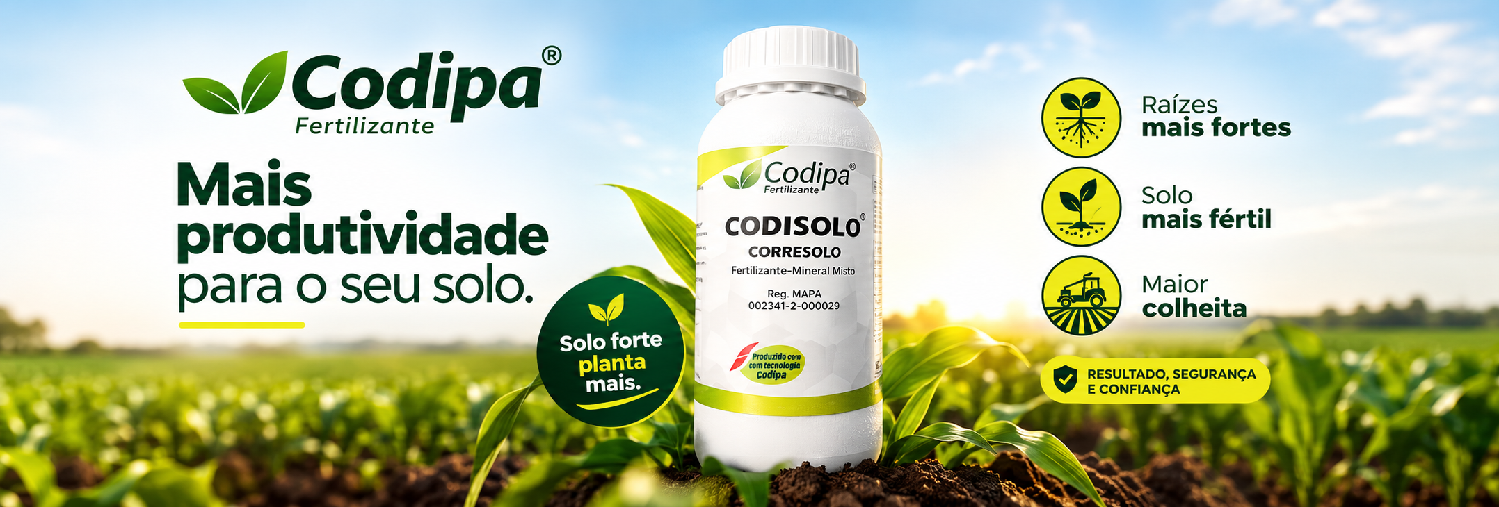 Banner | Codisolo
