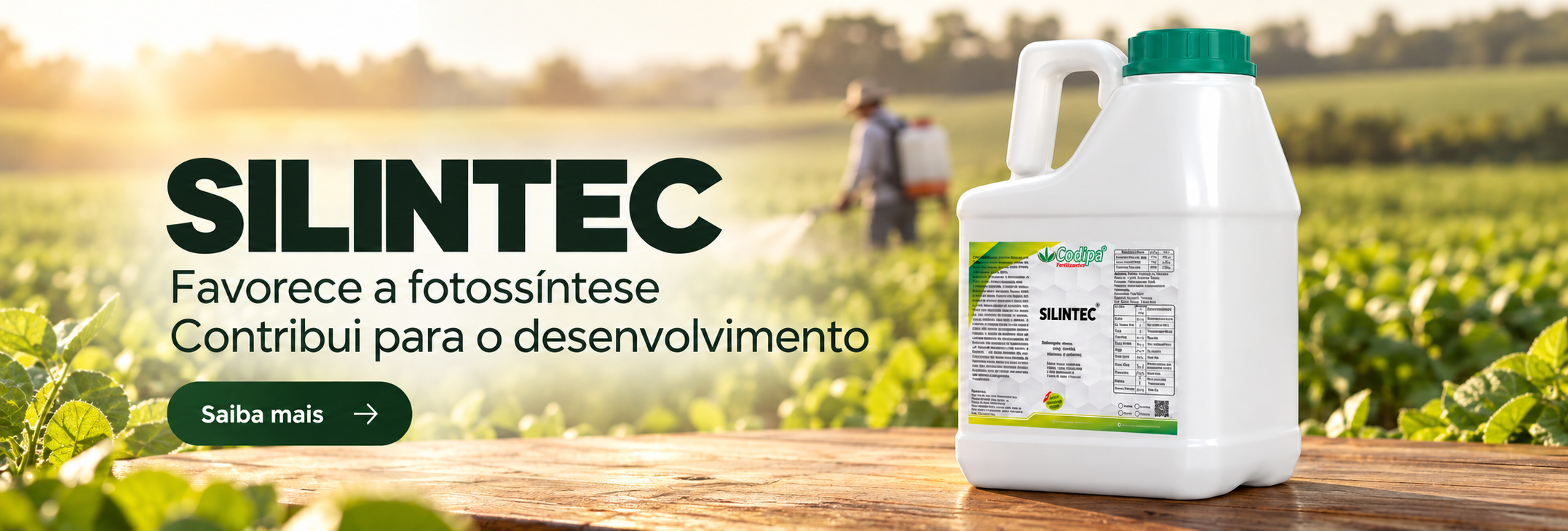 Benner | Selintec