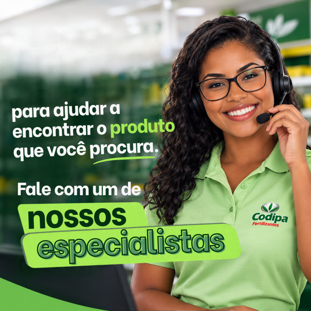 Equipe de atendimento