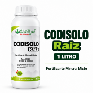 Codisolo Raiz